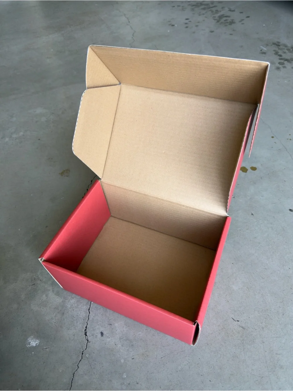 Houseplant by Seth Rogan / Storage Ceramic Box / Red